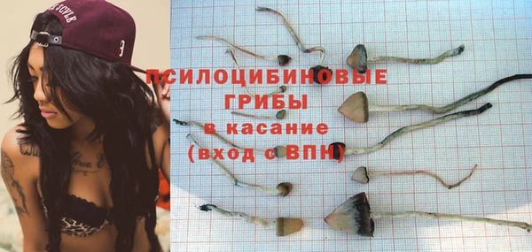 мескалин Баксан