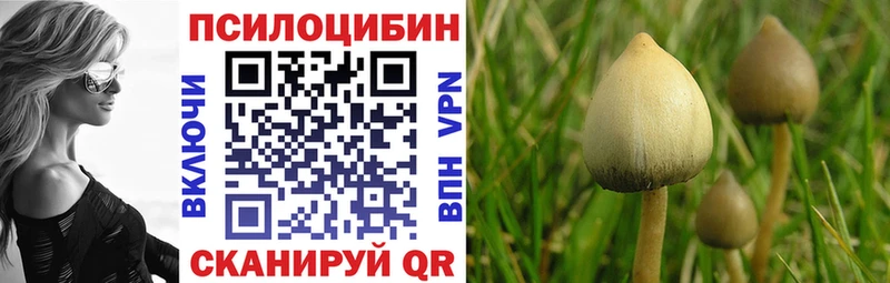 Галлюциногенные грибы MAGIC MUSHROOMS  hydra ссылка  Купино  продажа наркотиков 